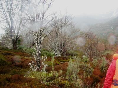 Ainsworth Bay, Chile